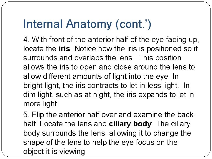 Internal Anatomy (cont. ’) 4. With front of the anterior half of the eye Internal Anatomy (cont. ’) 4. With front of the anterior half of the eye