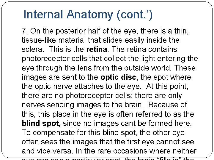 Internal Anatomy (cont. ’) 7. On the posterior half of the eye, there is Internal Anatomy (cont. ’) 7. On the posterior half of the eye, there is