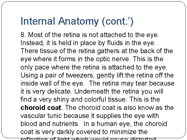 Internal Anatomy (cont. ’) 8. Most of the retina is not attached to the Internal Anatomy (cont. ’) 8. Most of the retina is not attached to the
