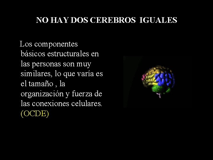 NO HAY DOS CEREBROS IGUALES Los componentes básicos estructurales en las personas son muy NO HAY DOS CEREBROS IGUALES Los componentes básicos estructurales en las personas son muy