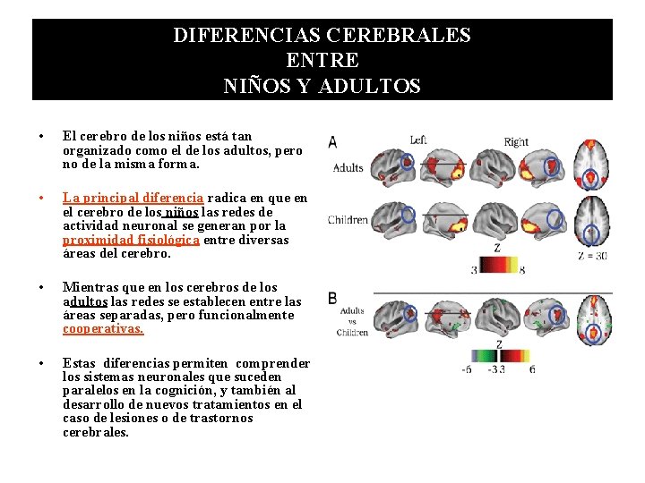 DIFERENCIAS CEREBRALES ENTRE NIÑOS Y ADULTOS • El cerebro de los niños está tan DIFERENCIAS CEREBRALES ENTRE NIÑOS Y ADULTOS • El cerebro de los niños está tan