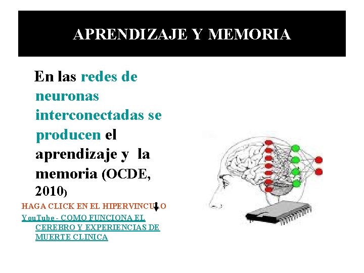 APRENDIZAJE Y MEMORIA En las redes de neuronas interconectadas se producen el aprendizaje y APRENDIZAJE Y MEMORIA En las redes de neuronas interconectadas se producen el aprendizaje y