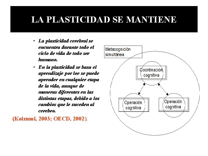 LA PLASTICIDAD SE MANTIENE • La plasticidad cerebral se encuentra durante todo el ciclo LA PLASTICIDAD SE MANTIENE • La plasticidad cerebral se encuentra durante todo el ciclo