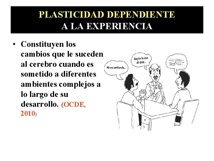 PLASTICIDAD DEPENDIENTE A LA EXPERIENCIA • Constituyen los cambios que le suceden al cerebro PLASTICIDAD DEPENDIENTE A LA EXPERIENCIA • Constituyen los cambios que le suceden al cerebro