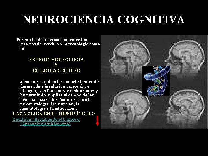 NEUROCIENCIA COGNITIVA Por medio de la asociación entre las ciencias del cerebro y la NEUROCIENCIA COGNITIVA Por medio de la asociación entre las ciencias del cerebro y la