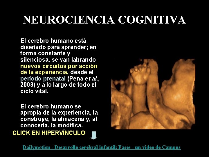 NEUROCIENCIA COGNITIVA El cerebro humano está diseñado para aprender; en forma constante y silenciosa, NEUROCIENCIA COGNITIVA El cerebro humano está diseñado para aprender; en forma constante y silenciosa,