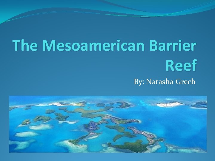 The Mesoamerican Barrier Reef By: Natasha Grech 