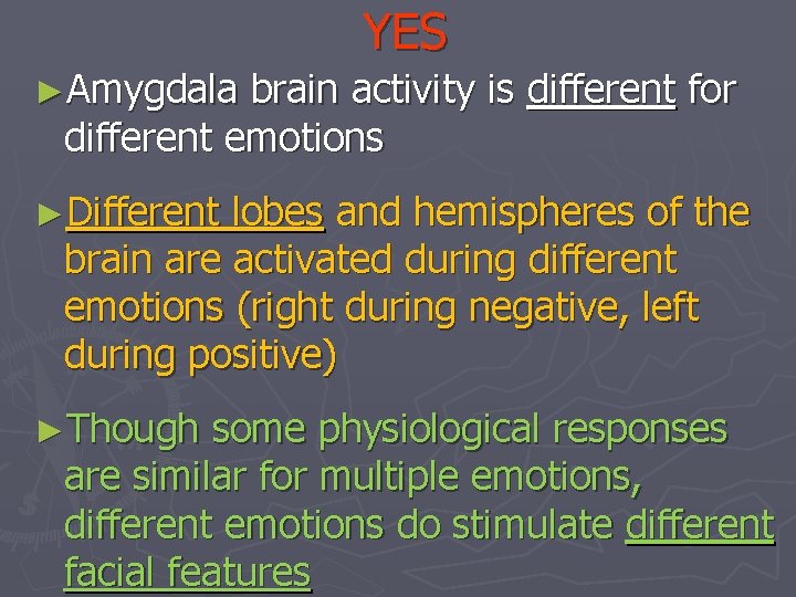 YES ►Amygdala brain activity is different for different emotions ►Different lobes and hemispheres of