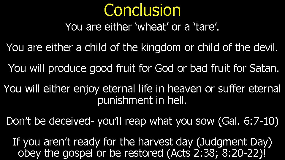 Conclusion You are either ‘wheat’ or a ‘tare’. You are either a child of