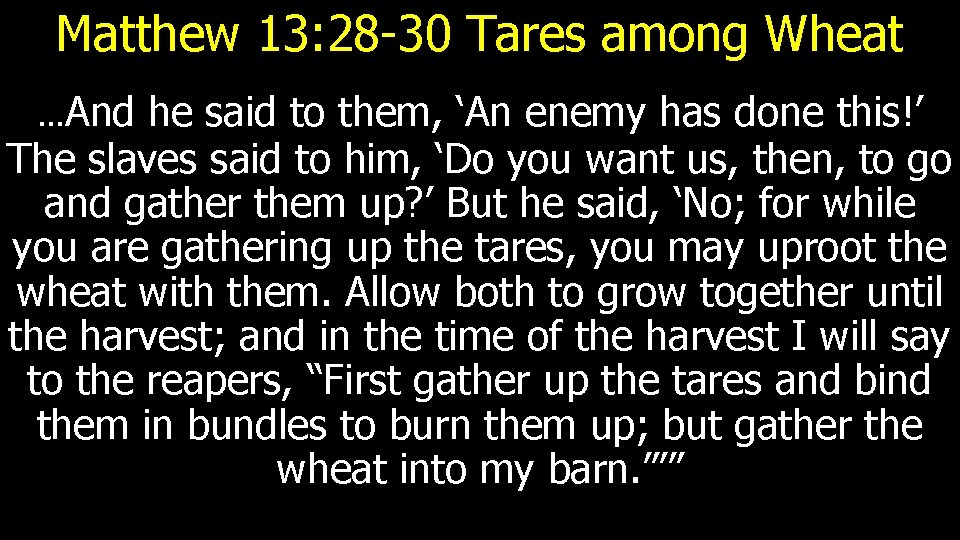 Matthew 13: 28 -30 Tares among Wheat …And he said to them, ‘An enemy