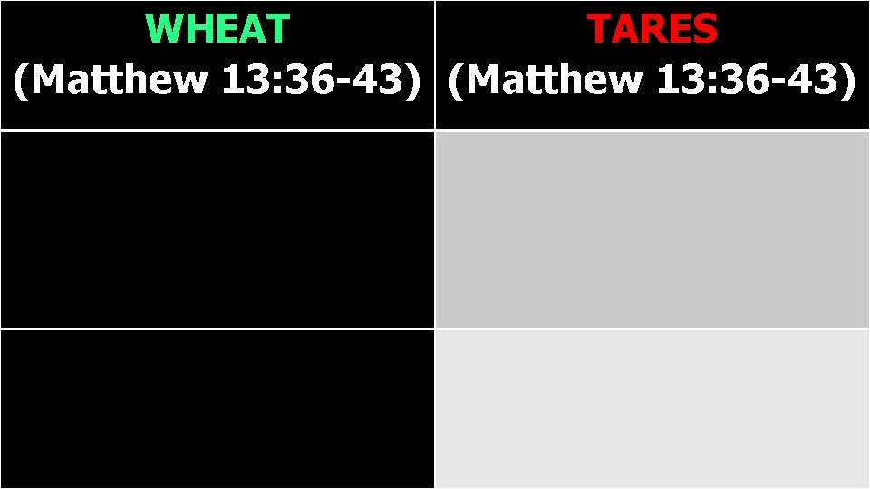 WHEAT TARES (Matthew 13: 36 -43) 