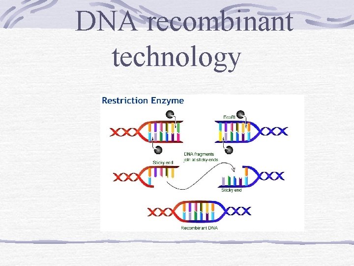 DNA recombinant technology 