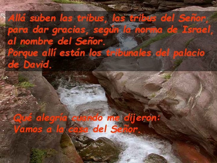 Allá suben las tribus, las tribus del Señor, para dar gracias, según la norma