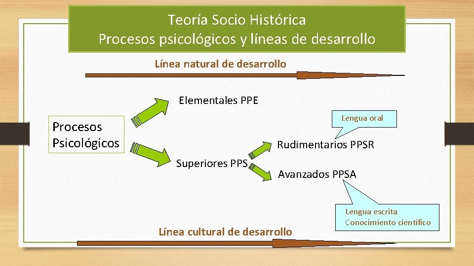 Teoría Socio Histórica Procesos psicológicos y líneas de desarrollo Línea natural de desarrollo Elementales