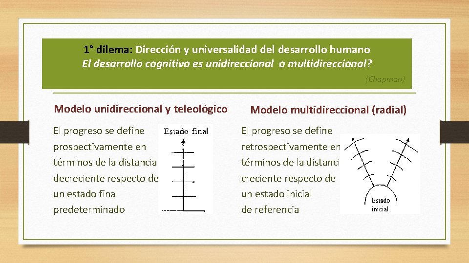 1° dilema: Dirección y universalidad del desarrollo humano El desarrollo cognitivo es unidireccional o