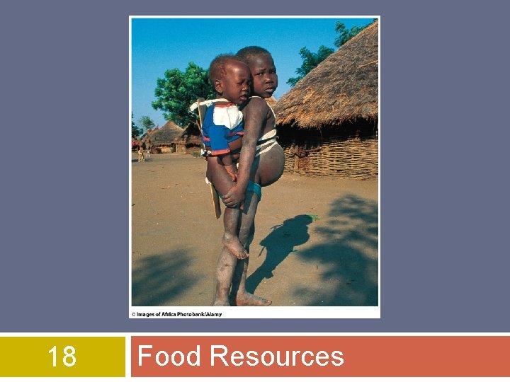 18 Food Resources 