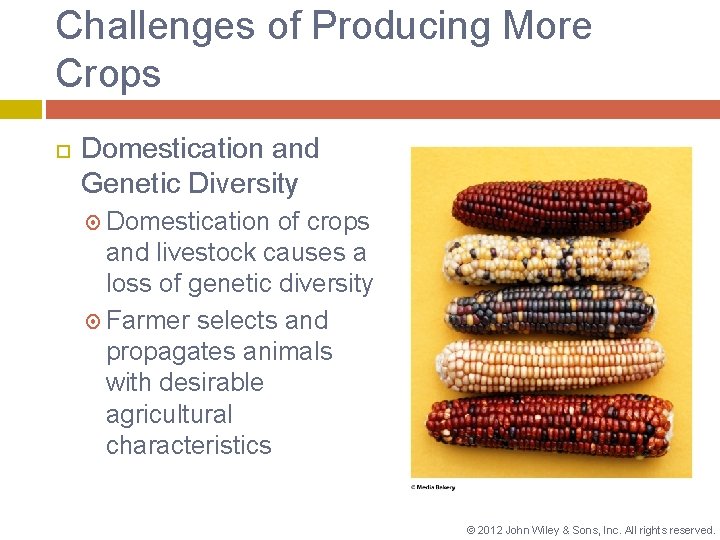 Challenges of Producing More Crops Domestication and Genetic Diversity Domestication of crops and livestock