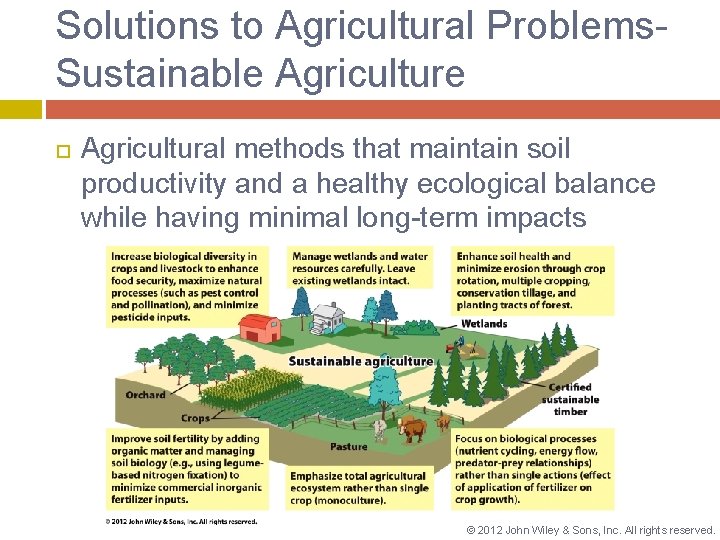 Solutions to Agricultural Problems. Sustainable Agriculture Agricultural methods that maintain soil productivity and a
