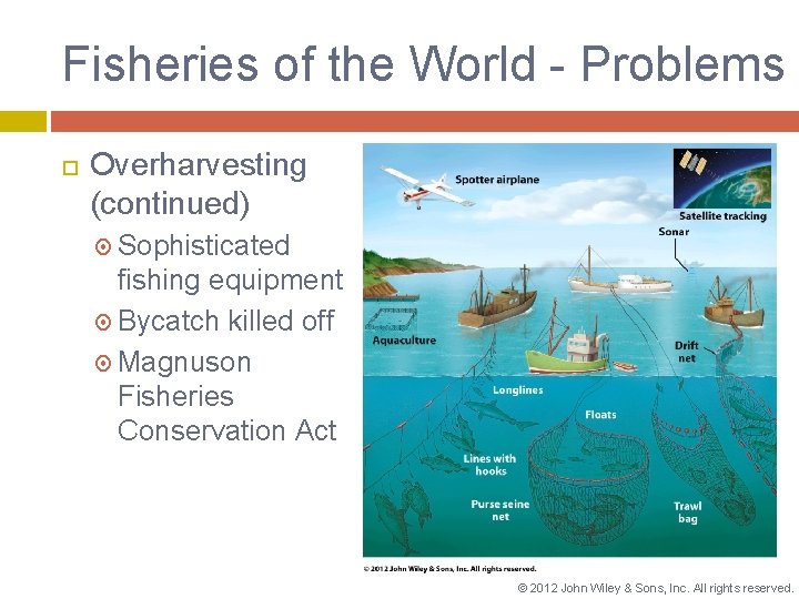Fisheries of the World - Problems Overharvesting (continued) Sophisticated fishing equipment Bycatch killed off