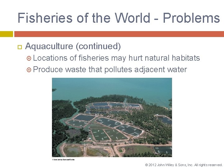 Fisheries of the World - Problems Aquaculture (continued) Locations of fisheries may hurt natural