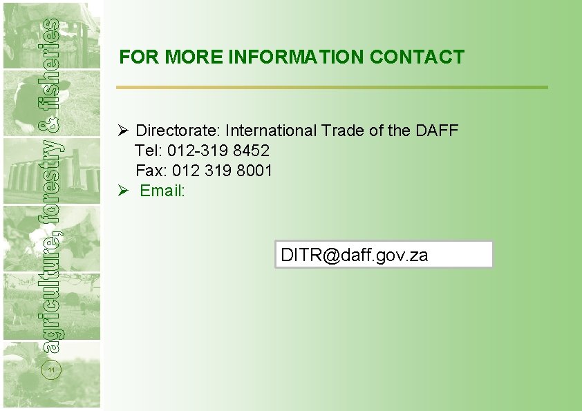 FOR MORE INFORMATION CONTACT Ø Directorate: International Trade of the DAFF Tel: 012 -319