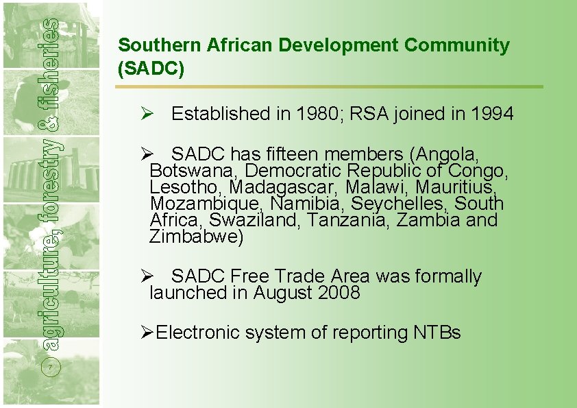 Southern African Development Community (SADC) Ø Established in 1980; RSA joined in 1994 Ø