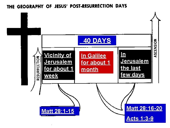 40 DAYS Vicinity of Jerusalem for about 1 week Matt 28: 1 -15 In