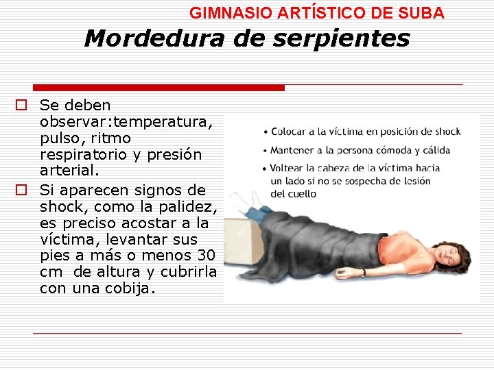 GIMNASIO ARTÍSTICO DE SUBA Mordedura de serpientes o Se deben observar: temperatura, pulso, ritmo