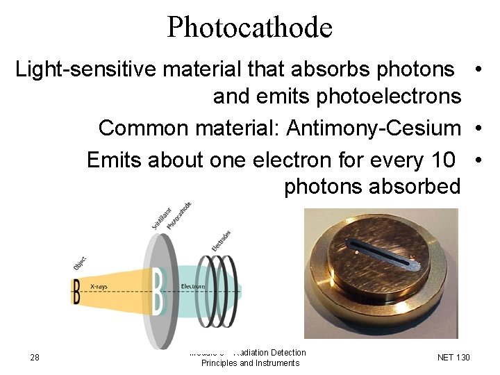 Photocathode Light-sensitive material that absorbs photons • and emits photoelectrons Common material: Antimony-Cesium • Photocathode Light-sensitive material that absorbs photons • and emits photoelectrons Common material: Antimony-Cesium •