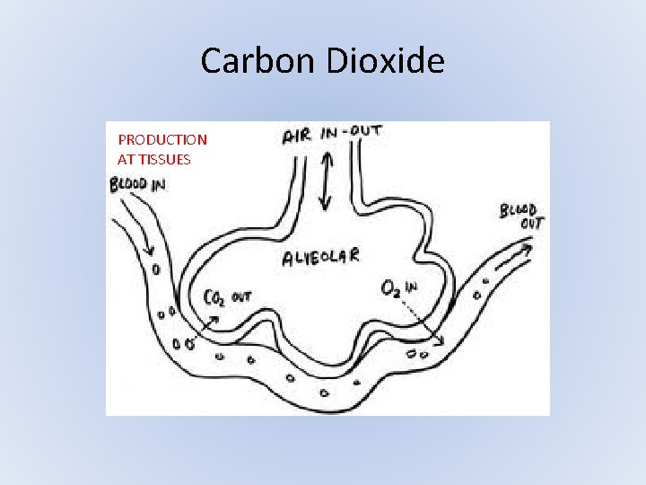 Carbon Dioxide PRODUCTION AT TISSUES Carbon Dioxide PRODUCTION AT TISSUES