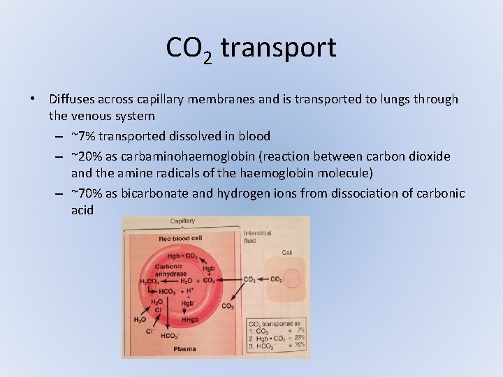 CO 2 transport • Diffuses across capillary membranes and is transported to lungs through CO 2 transport • Diffuses across capillary membranes and is transported to lungs through