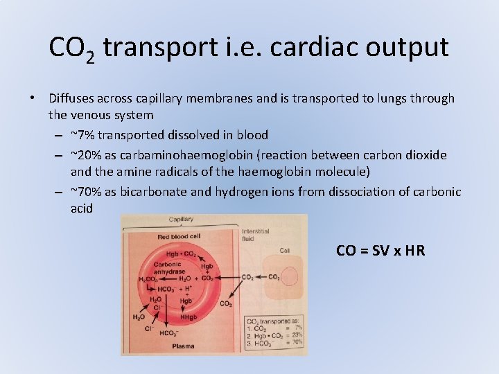 CO 2 transport i. e. cardiac output • Diffuses across capillary membranes and is CO 2 transport i. e. cardiac output • Diffuses across capillary membranes and is