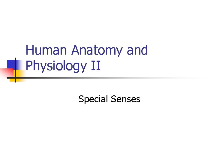 Human Anatomy and Physiology II Special Senses 