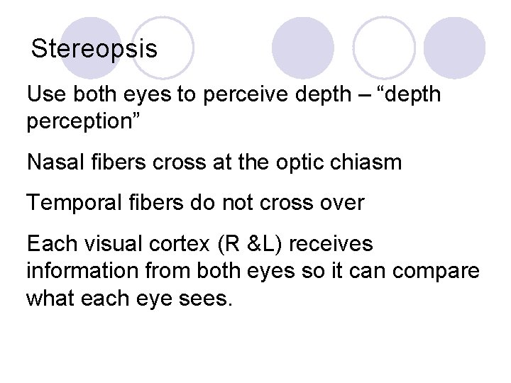 Stereopsis Use both eyes to perceive depth – “depth perception” Nasal fibers cross at