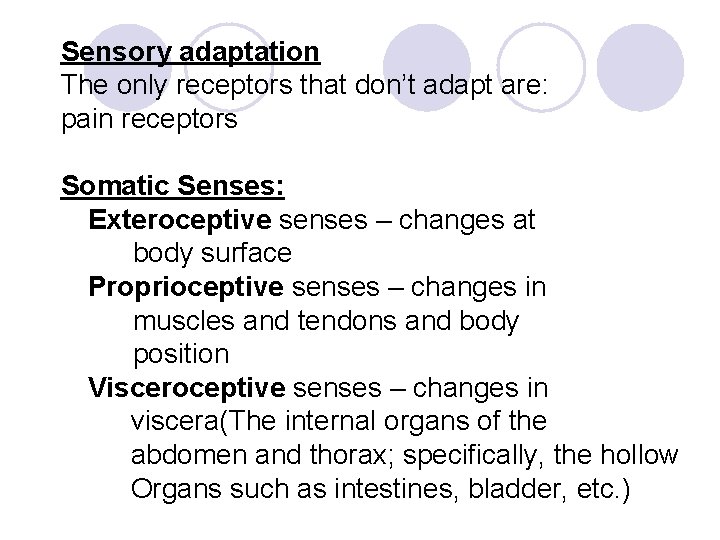 Sensory adaptation The only receptors that don’t adapt are: pain receptors Somatic Senses: Exteroceptive