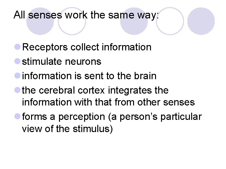 All senses work the same way: l Receptors collect information l stimulate neurons l