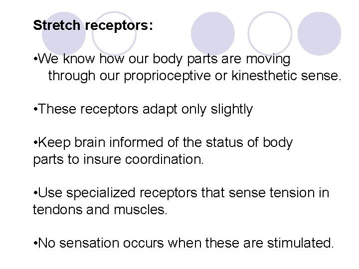 Stretch receptors: • We know how our body parts are moving through our proprioceptive