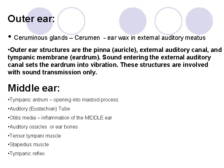 Outer ear: • Ceruminous glands – Cerumen - ear wax in external auditory meatus
