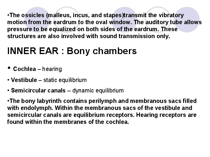  • The ossicles (malleus, incus, and stapes)transmit the vibratory motion from the eardrum