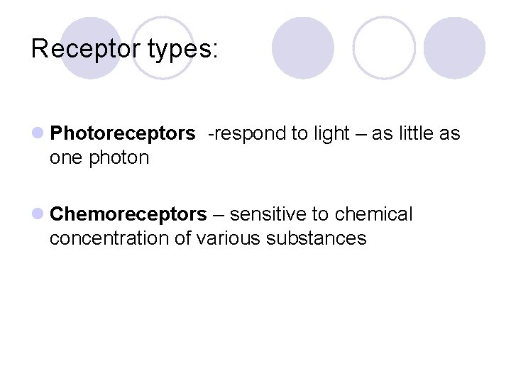 Receptor types: l Photoreceptors -respond to light – as little as one photon l