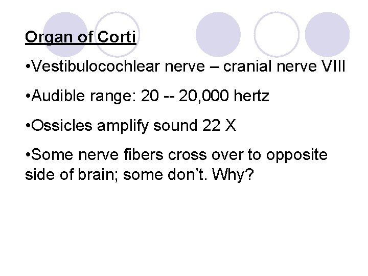 Organ of Corti • Vestibulocochlear nerve – cranial nerve VIII • Audible range: 20