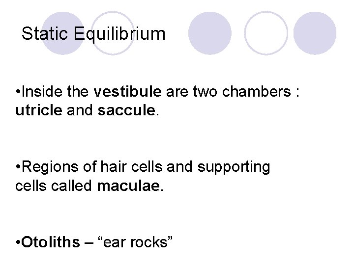 Static Equilibrium • Inside the vestibule are two chambers : utricle and saccule. •