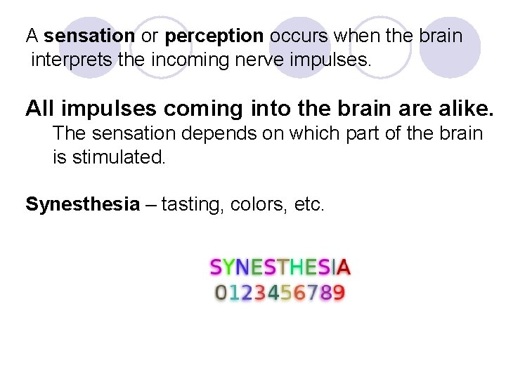 A sensation or perception occurs when the brain interprets the incoming nerve impulses. All