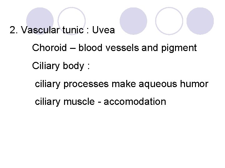 2. Vascular tunic : Uvea Choroid – blood vessels and pigment Ciliary body :