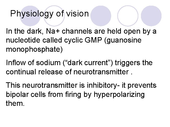 Physiology of vision In the dark, Na+ channels are held open by a nucleotide