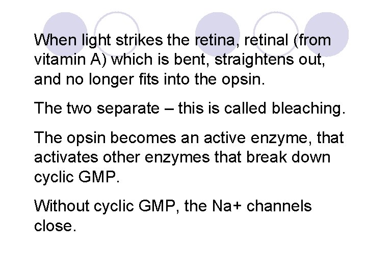 When light strikes the retina, retinal (from vitamin A) which is bent, straightens out,