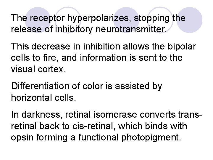The receptor hyperpolarizes, stopping the release of inhibitory neurotransmitter. This decrease in inhibition allows