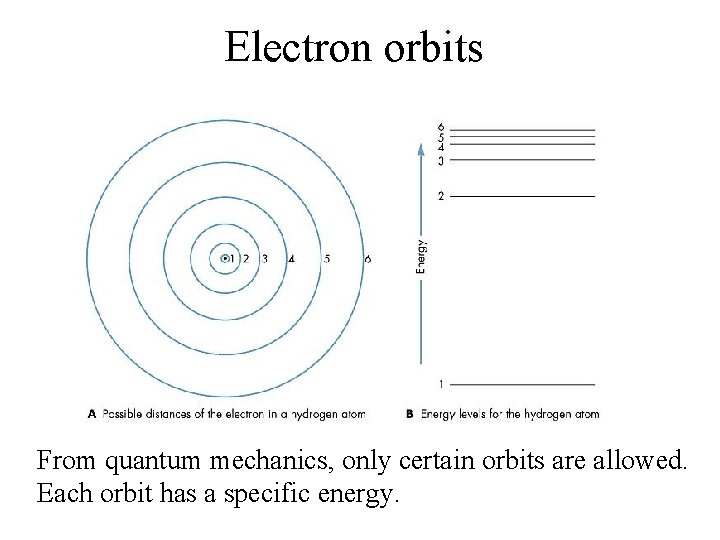 Electron orbits From quantum mechanics, only certain orbits are allowed. Each orbit has a