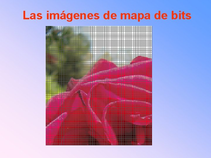 Las imágenes de mapa de bits 