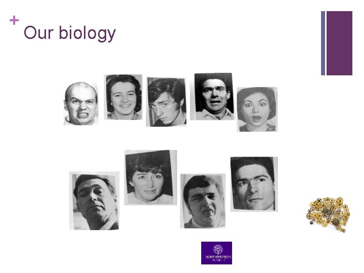 + Our biology + Our biology